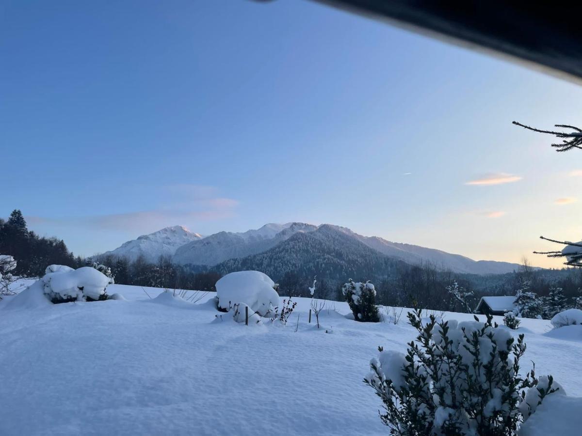 Cabana Vanatorului Rîşnov Exterior foto