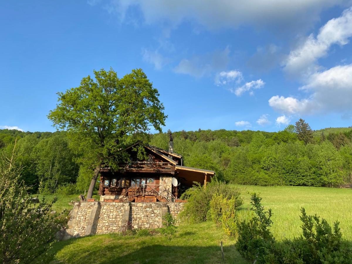 Cabana Vanatorului Rîşnov Exterior foto