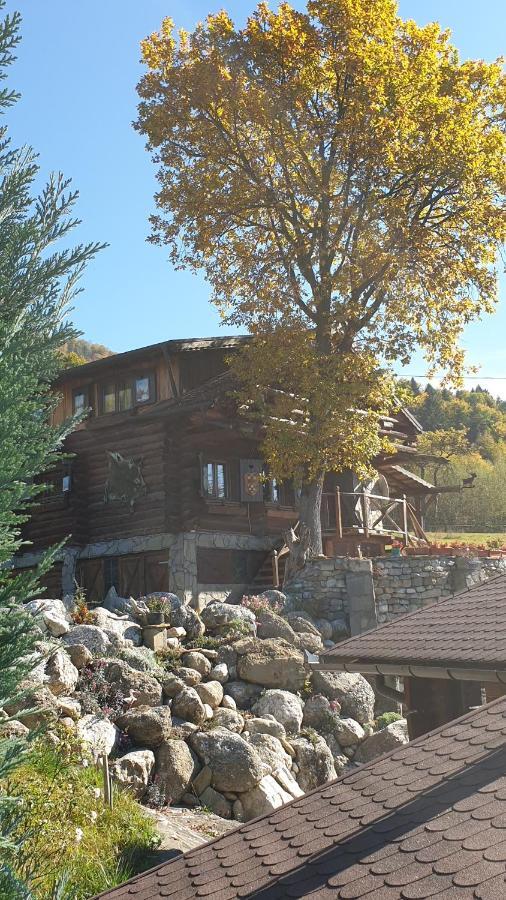 Cabana Vanatorului Rîşnov Exterior foto